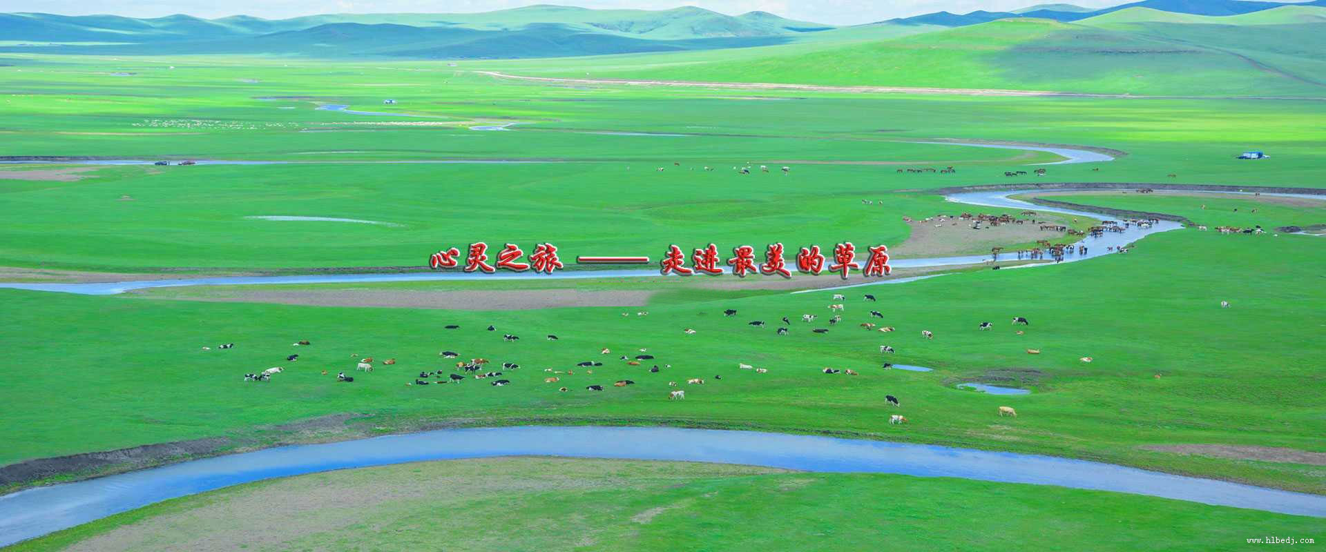 呼倫貝爾多嬌旅行社，精挑細(xì)選每一條旅游線路，自由行,自助游,深度游,自駕游,跟團(tuán)游,讓您深度體驗(yàn)呼倫貝爾大草原,歡迎光臨咨詢！