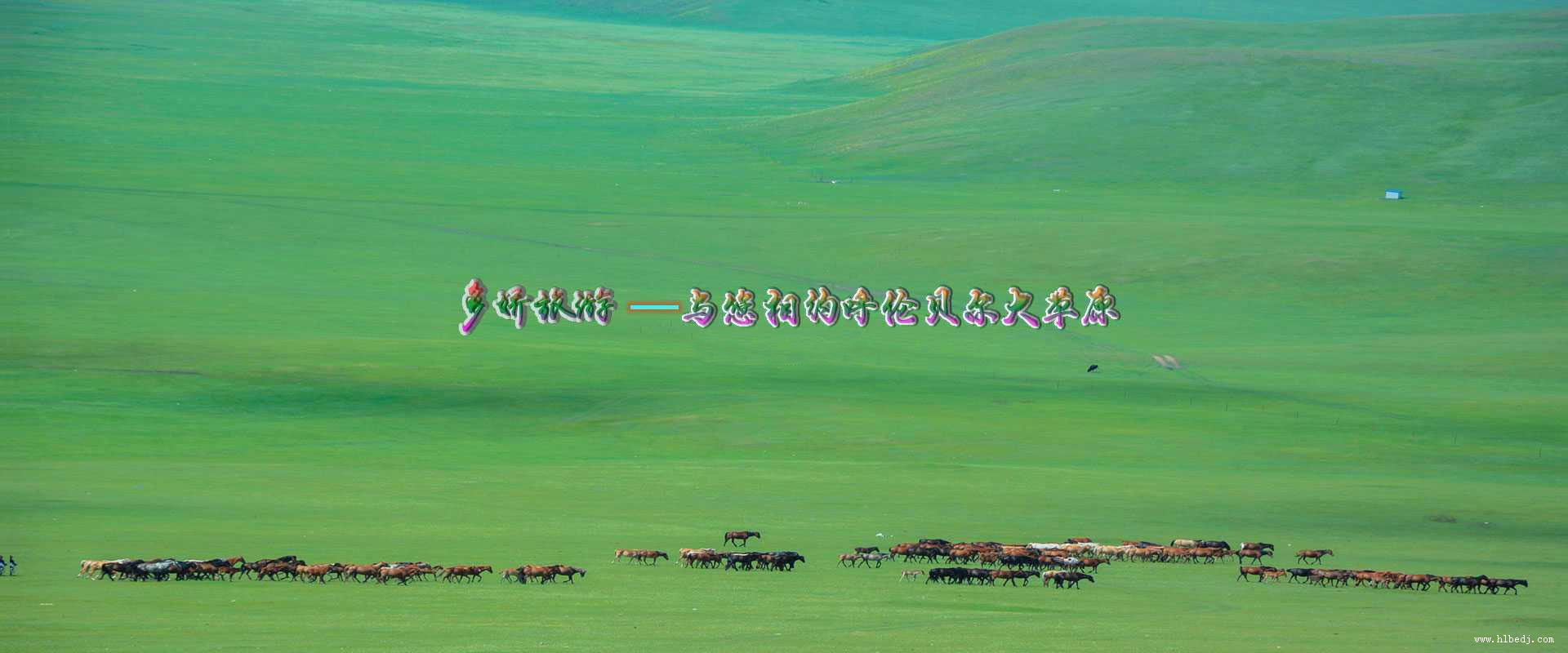 呼倫貝爾多嬌旅行社精挑細選每一條旅游線路，讓每一位前來旅游的朋友，都能深度體驗自由行,包車游,跟團游,自駕游,自助游,親子游,研學旅游線路等，歡迎咨詢了解！